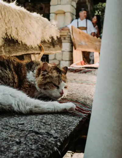 svatben fotograf Varna 1177 Сватбена фотография и видеозаснемане Варна - Пламен Стоянов