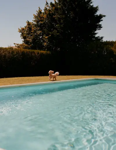 svatben fotograf Varna 1358 Сватбена фотография и видеозаснемане Варна - Пламен Стоянов