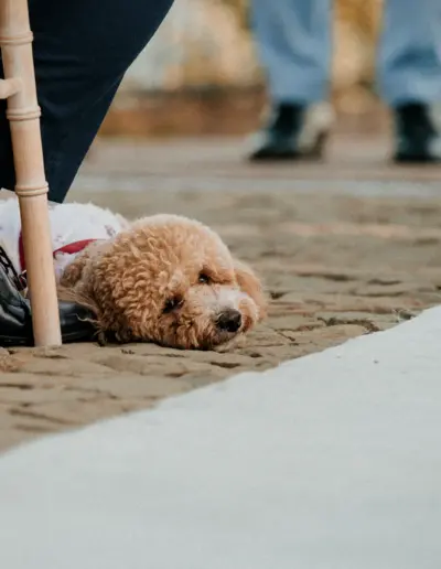 svatben fotograf Varna 1390 Сватбена фотография и видеозаснемане Варна - Пламен Стоянов