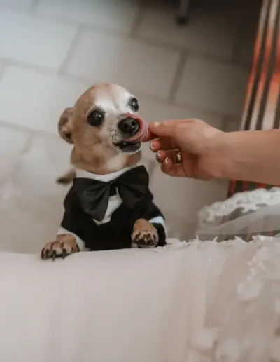 svatben fotograf Varna 406 1 Сватбена фотография и видеозаснемане Варна - Пламен Стоянов