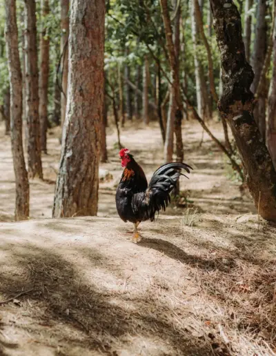 svatben fotograf Varna 408 Сватбена фотография и видеозаснемане Варна - Пламен Стоянов