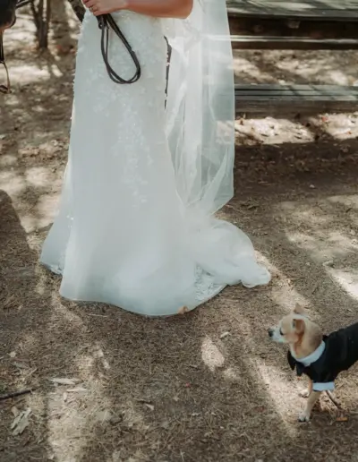 svatben fotograf Varna 410 Сватбена фотография и видеозаснемане Варна - Пламен Стоянов