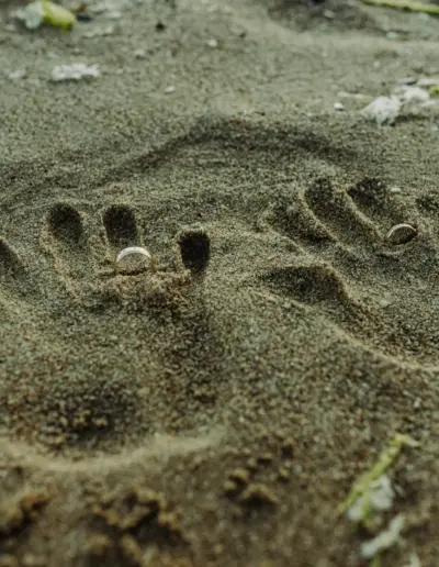 svatben fotograf Varna 587 Сватбена фотография и видеозаснемане Варна - Пламен Стоянов