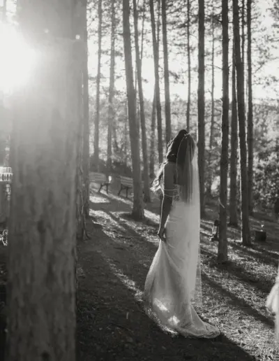 svatben fotograf Varna Forestfoodhouse 101 Сватбена фотография и видеозаснемане Варна - Пламен Стоянов