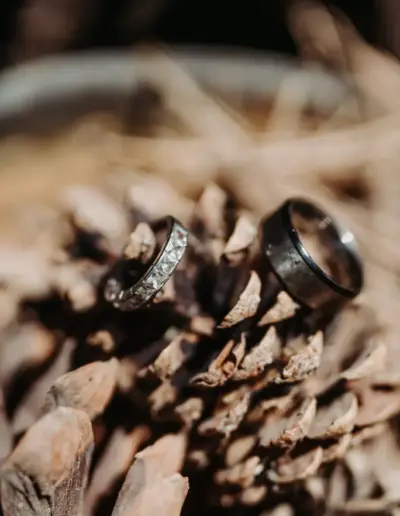 svatben fotograf Varna Forestfoodhouse 6 Сватбена фотография и видеозаснемане Варна - Пламен Стоянов