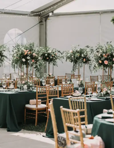 HariManol www.plamenstoyanov.com 5 Сватбена фотография и видеозаснемане Варна - Пламен Стоянов