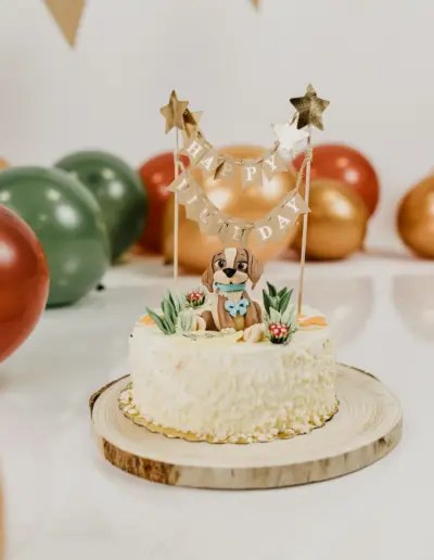 forograf varna rojdenden 33 Сватбена фотография и видеозаснемане Варна - Пламен Стоянов