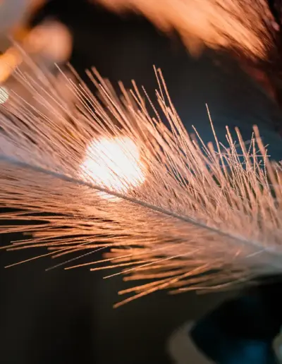 forograf varna rojdenden 69 Сватбена фотография и видеозаснемане Варна - Пламен Стоянов