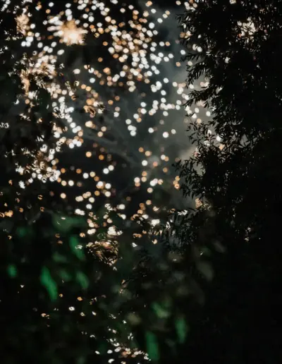 forograf varna rojdenden 92 Сватбена фотография и видеозаснемане Варна - Пламен Стоянов