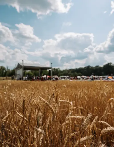 fotogarf za festival plamenstoyanov 46 Сватбена фотография и видеозаснемане Варна - Пламен Стоянов