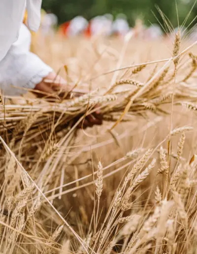 fotogarf za festival plamenstoyanov 61 Сватбена фотография и видеозаснемане Варна - Пламен Стоянов