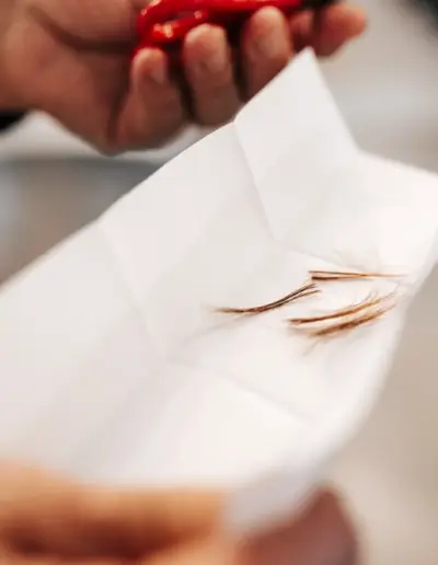 fotograf krushtene varna 14 Сватбена фотография и видеозаснемане Варна - Пламен Стоянов