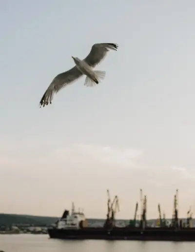 fotograf za subitie plamenstoyanov 19 Сватбена фотография и видеозаснемане Варна - Пламен Стоянов