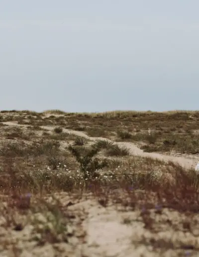 svatben fotograf Varna 1525 Сватбена фотография и видеозаснемане Варна - Пламен Стоянов