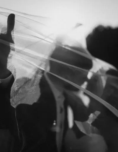 svatben fotograf Varna 484 Сватбена фотография и видеозаснемане Варна - Пламен Стоянов